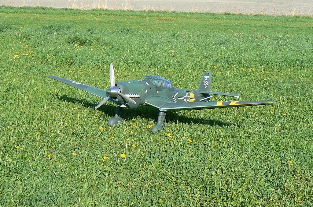 Stuka i grögräset 21.05.2010.JPG