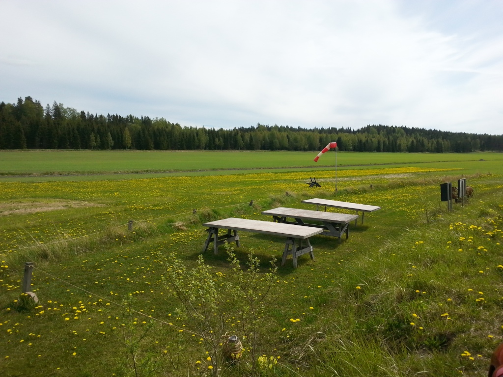 20150524_1329501.jpg
