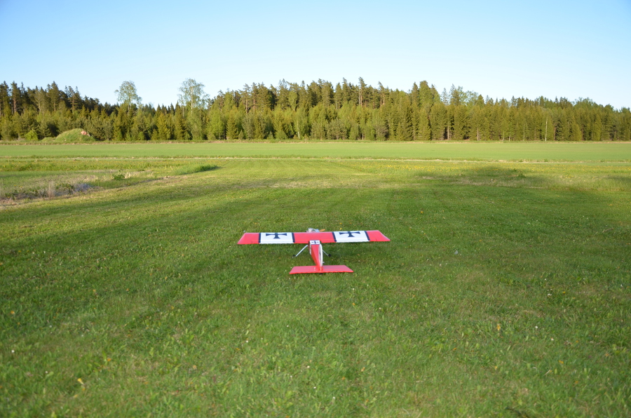DSC_4217.JPG
