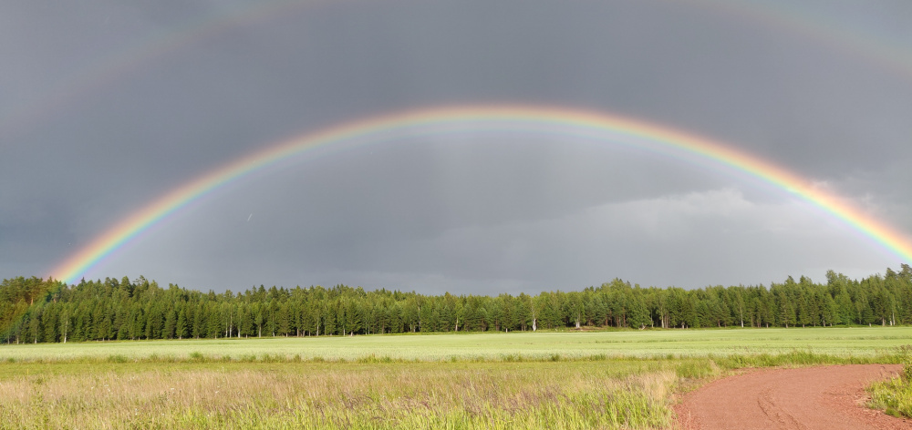 regnbåge.jpg