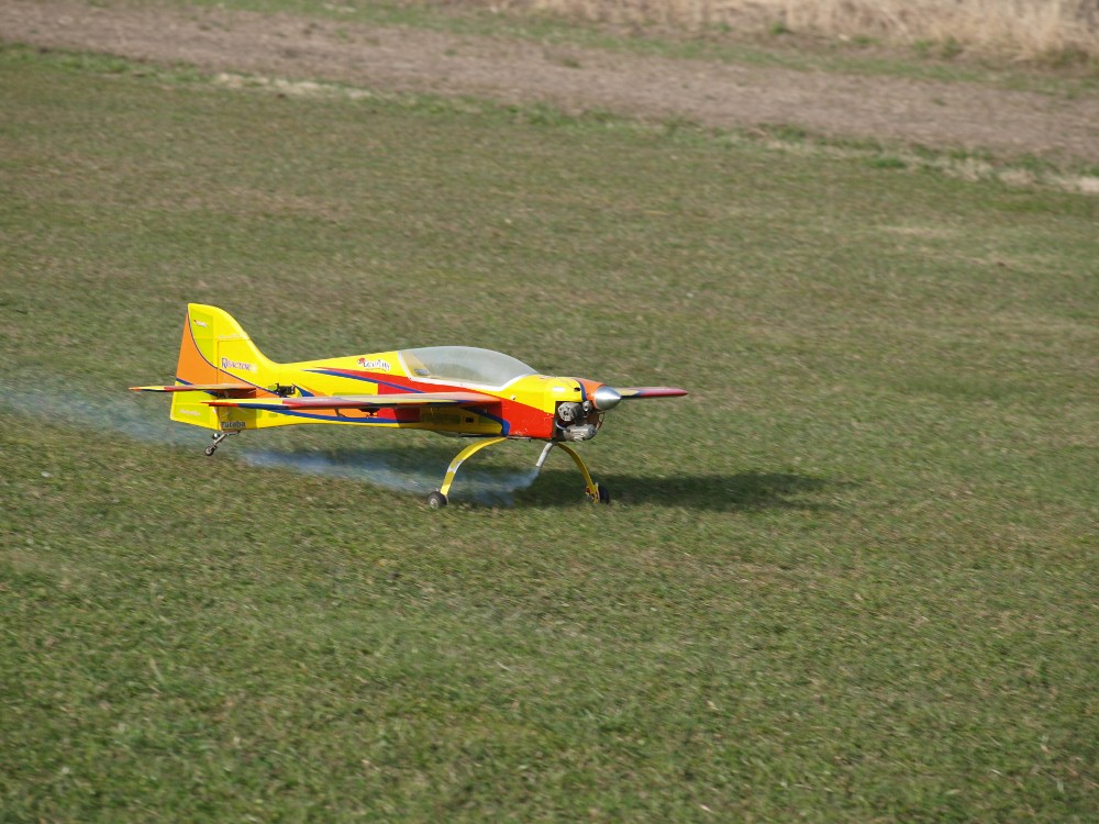P5036301 (1000x750).jpg