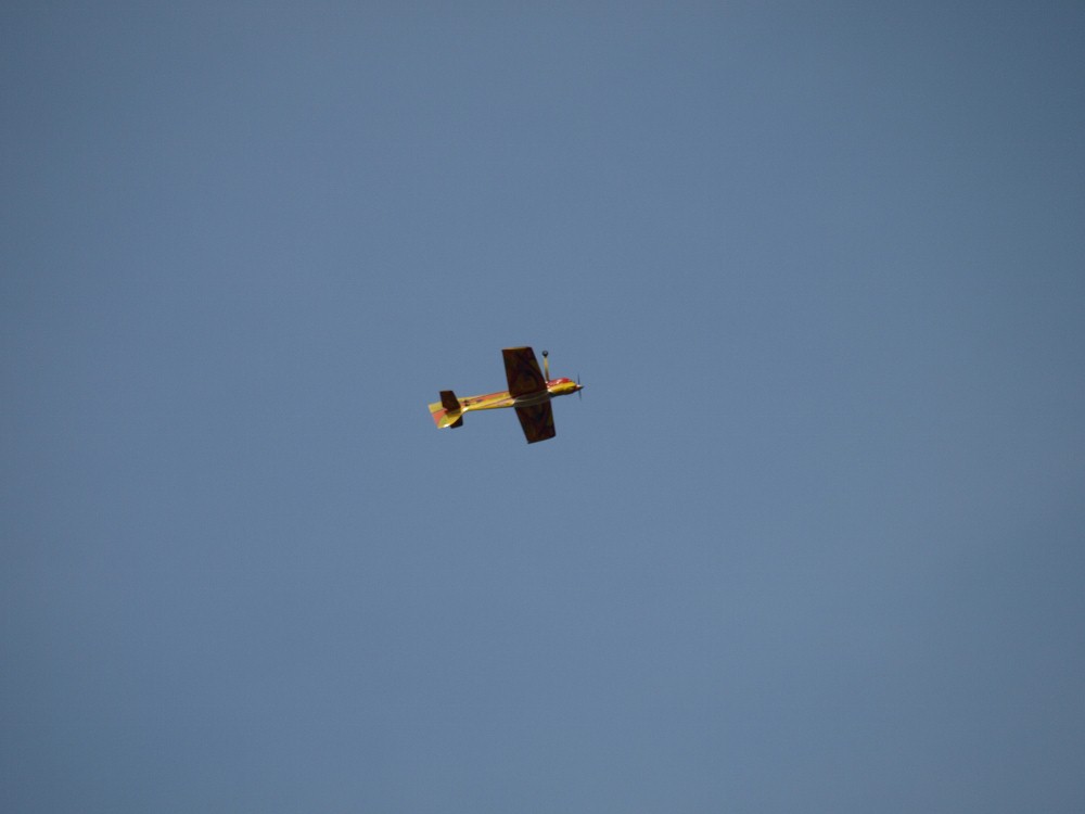 P5036319 (1000x750).jpg