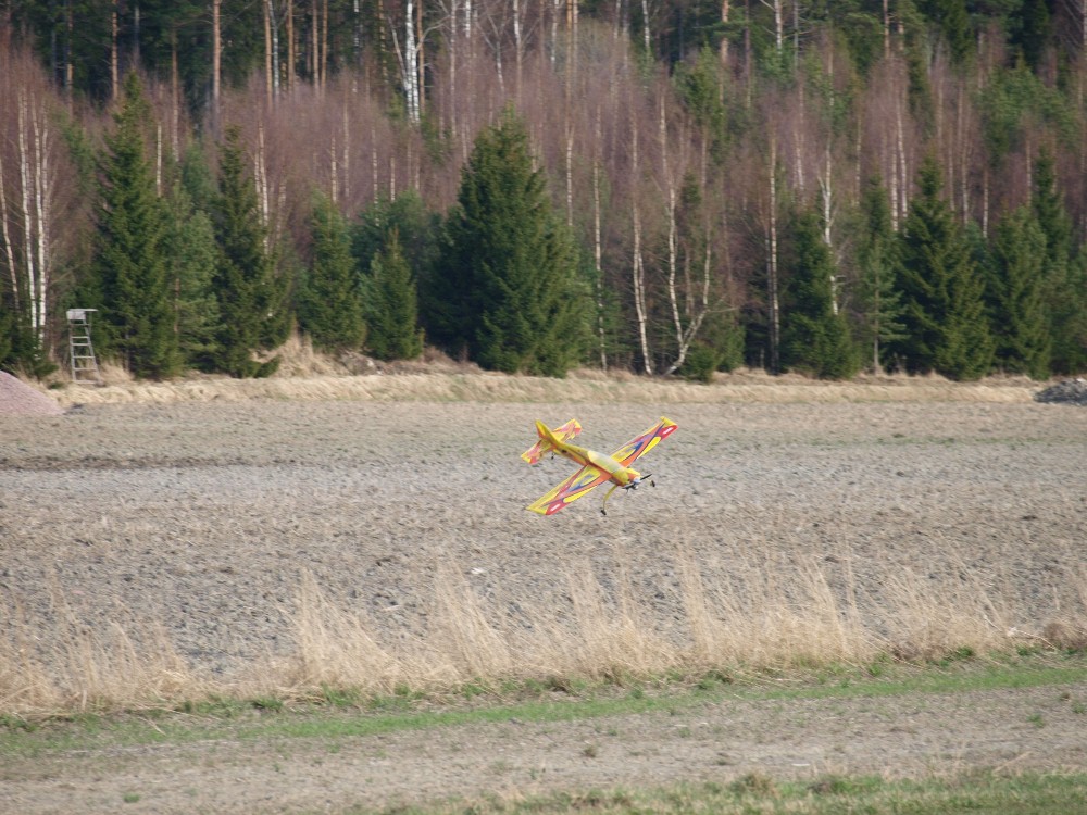 P5036327 (1000x750).jpg