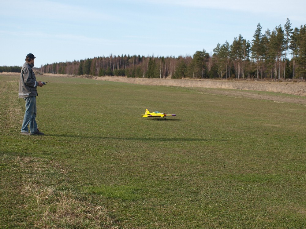P5036339 (1000x750).jpg