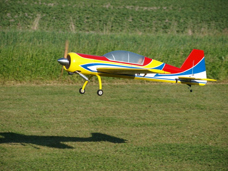 P6237742 (800x600).jpg