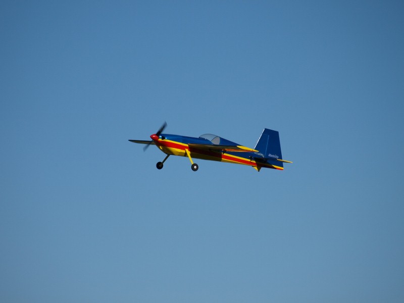 P6237764 (800x600).jpg