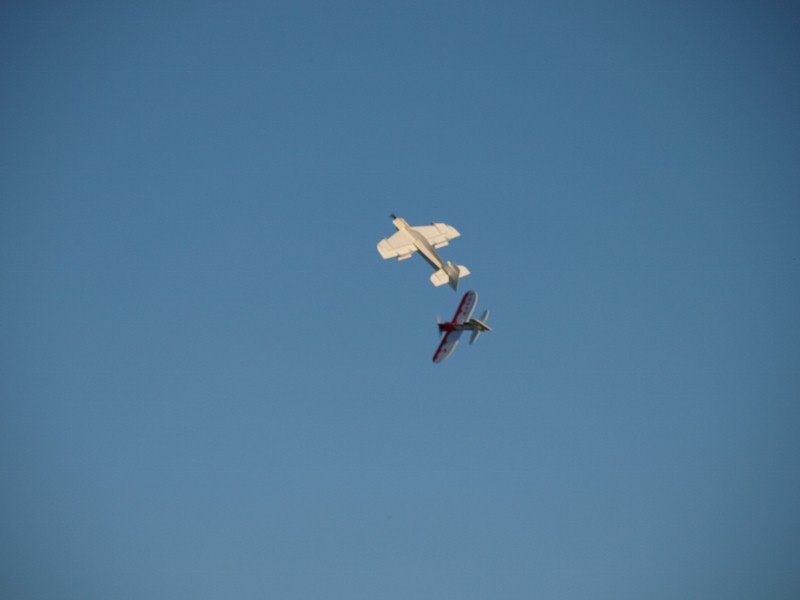 P6237775 (800x600).jpg
