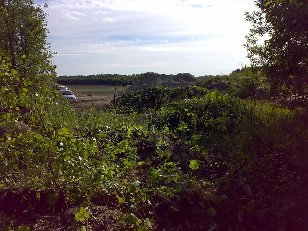 16.6.2010område.jpg