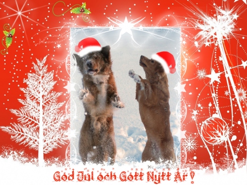 julkort.jpg