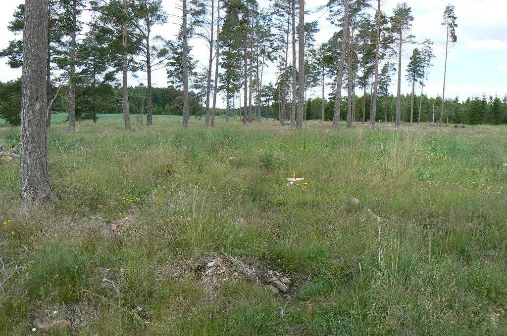 Acro - 15m från trädet bakdelen av kroppen 17.06.2011.JPG