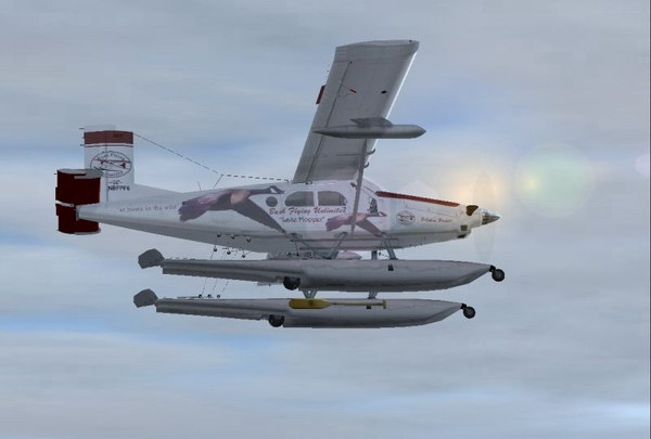 Pilatus_Porter2_FSD_lg.jpg