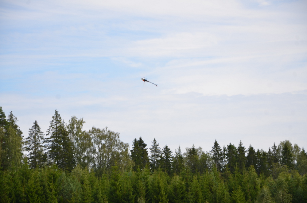 DSC_3298.JPG