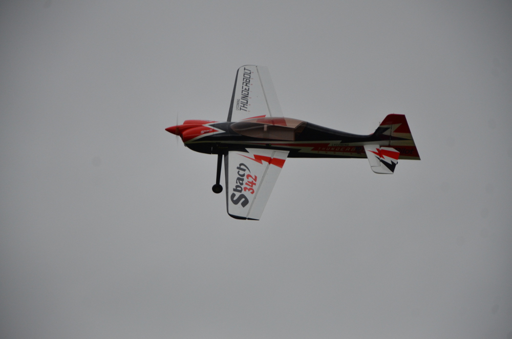 DSC_3317.JPG