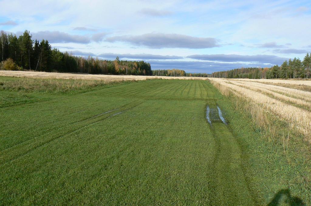 blött fält i oktober 2012.JPG